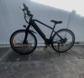 Trustmade Electric Bike Panther-X Series