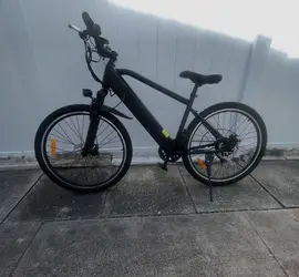 Trustmade Electric Bike Panther-X Series