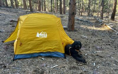 REI Half Dome 2-Person Backpacking Tent