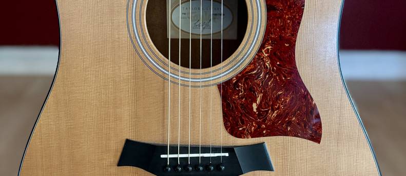 Stage-Ready Taylor 110 Acoustic-Electric – LR Baggs VTC + Hard Case, Strap & Capo (Charleston)