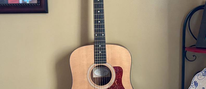 Stage-Ready Taylor 110 Acoustic-Electric – LR Baggs VTC + Hard Case, Strap & Capo (Charleston)