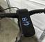 Bird Electric Scooter