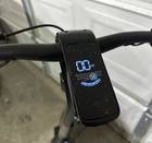 Bird Electric Scooter