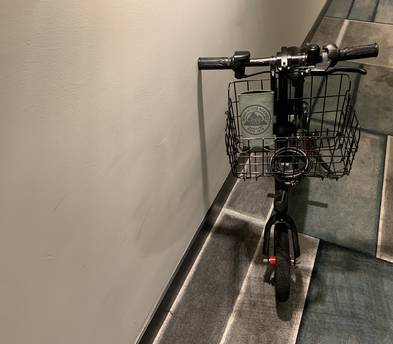Folding Jetson Electric Bike