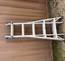 Little Giant Ladder