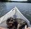 Oru Foldable Kayak!