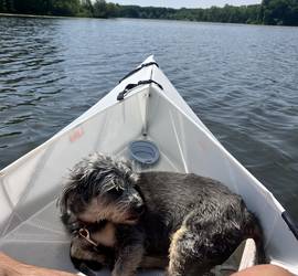 Oru Foldable Kayak!