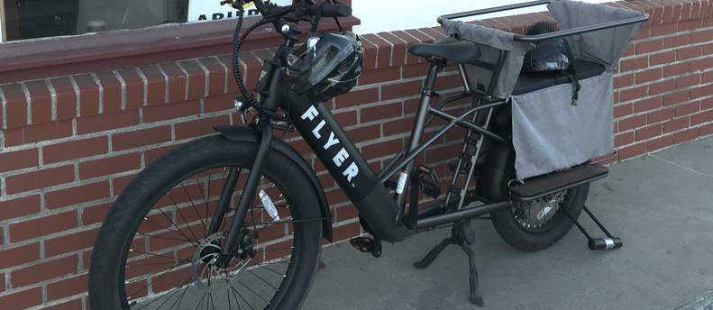 Flyer Cargo E-Bike