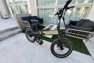Lectric XP Lite eBike 2.0 (I have 3)