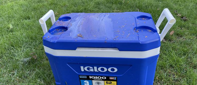 Igloo 52 pint cooler