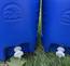 (2) Igloo 2 gallon coolers