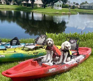 Jackson Bite Kayak