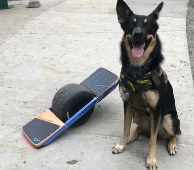 2020 OneWheel XR