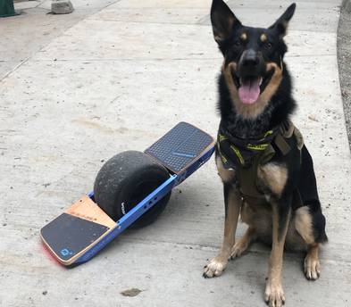 2020 OneWheel XR