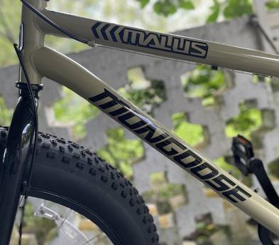 Mongoose fat tire bicycle