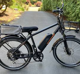 RadCity 4 Electric Commuter Bike