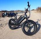 30MPH Juiced Bike Rip Racer 55mile range ( Black 2 )