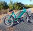 30MPH Juiced Bike Rip Racer 55mile range ( Olive )
