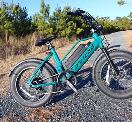30MPH Juiced Bike Rip Racer 55mile range ( Olive )