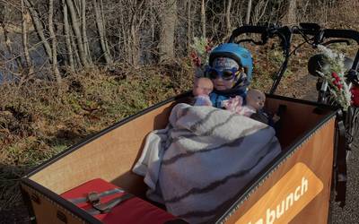 Cargo Bike