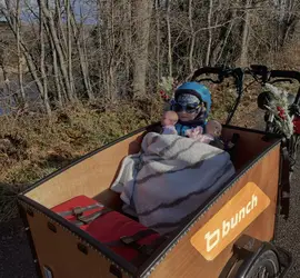 Cargo Bike