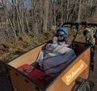 Cargo Bike