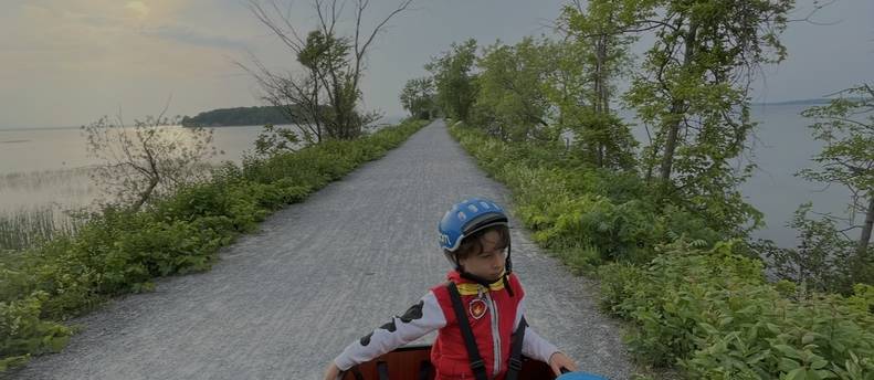 Cargo Bike