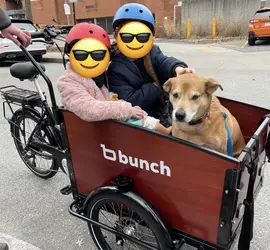 Bunch Bike Original 3.0, cargo electric bike