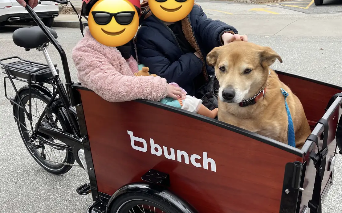 Bunch Bike Original 3.0, cargo electric bike