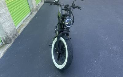 TST E Bike
