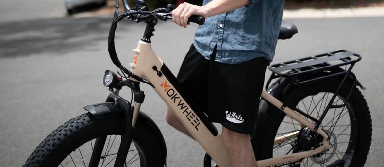 E-Bike Step Thru Fat Tires 30mph long charge