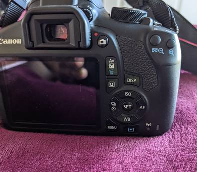 Canon EOS Rebel T6 DSLR Camera for rent