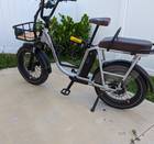 Rad Power Bikes Electric Bike