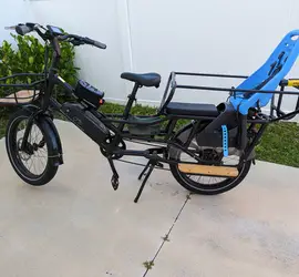 Rad Wagon 4 Electric Bike (Plus 2 Childrens Seats)