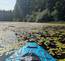 TWO Stand Up Paddle Boards