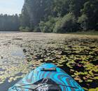 TWO Stand Up Paddle Boards