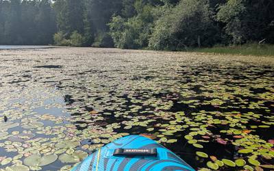 TWO Stand Up Paddle Boards