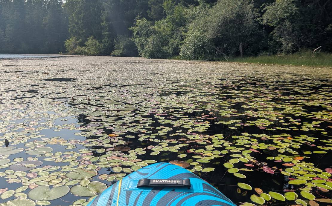 TWO Stand Up Paddle Boards