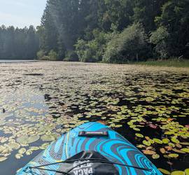 TWO Stand Up Paddle Boards