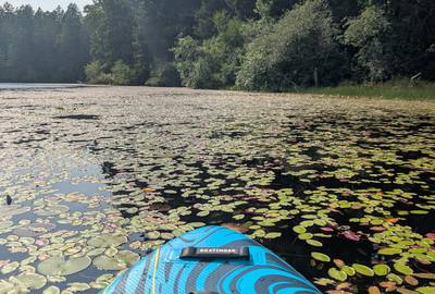 TWO Stand Up Paddle Boards