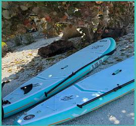 Paddle Board Rental