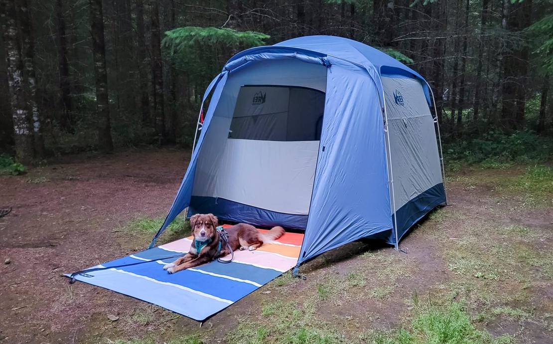 REI Skyward 4-Person Camping Tent
