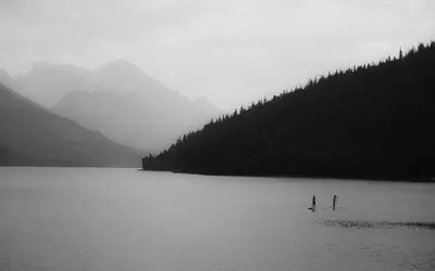Stand Up Paddle Board rental in Brighton