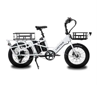 Lectric Xpedition cargo e-bike