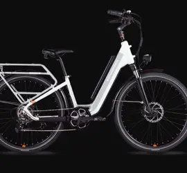 RadCity 5 Plus Step-Thru