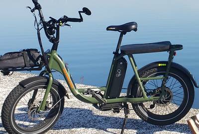 RadPower RadRunner Utility E-Bike