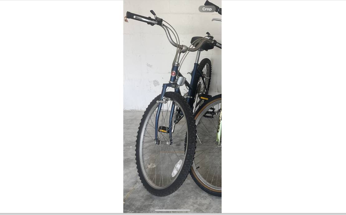 Schwinn cruiser style 5 speed bike