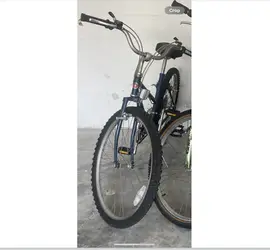 Schwinn cruiser style 5 speed bike