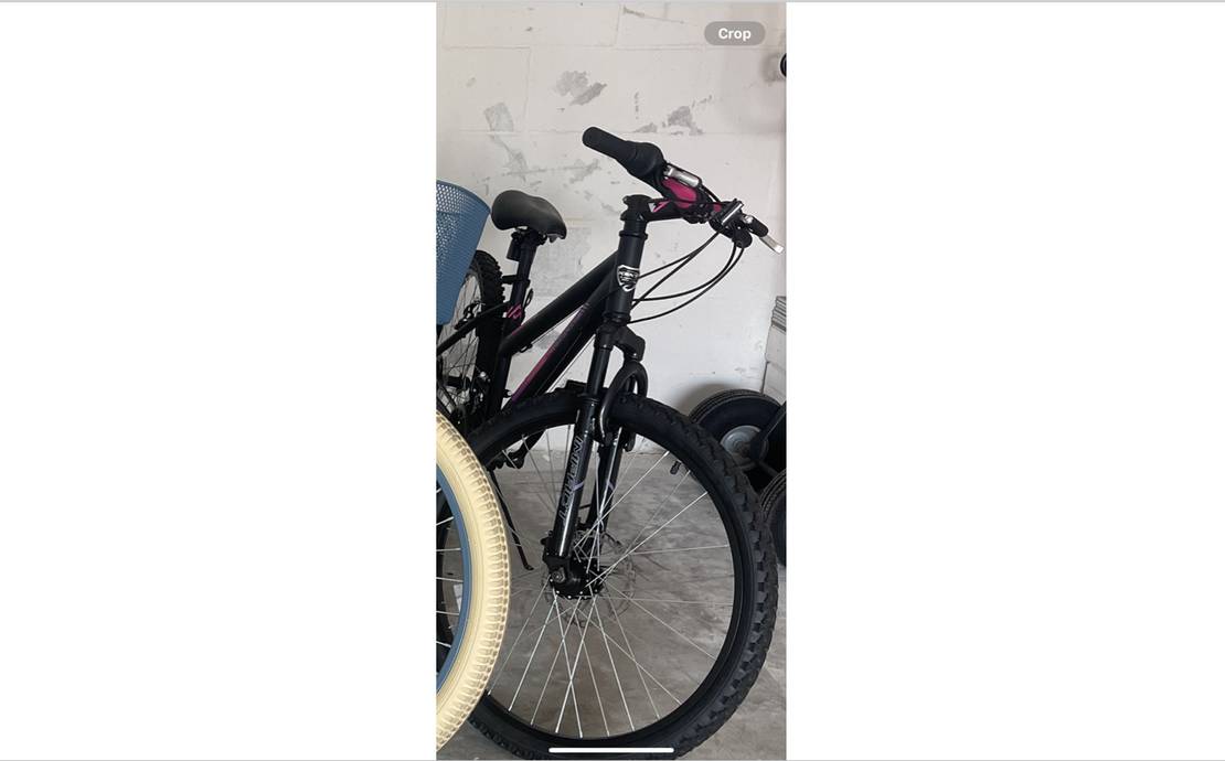 Kent Mountain Bike for 8-14 year old