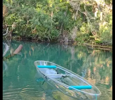 WEEKI WACHEE PADDLE SAFARI